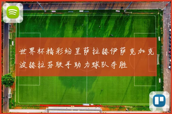 世界杯精彩纷呈萨拉赫伊萨克加克波赫拉芬联手助力球队夺胜